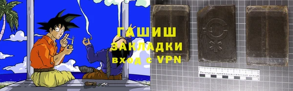 СК Елизово