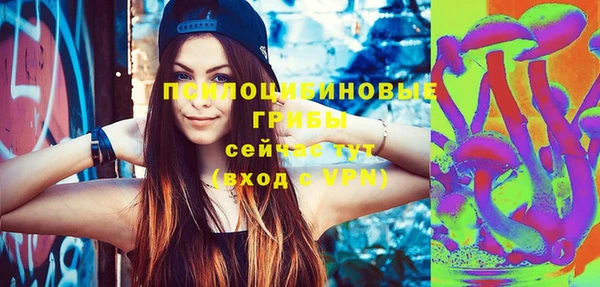 СК Елизово
