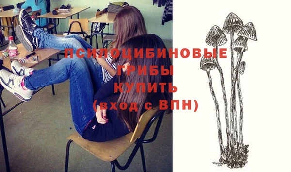 бошки Елабуга