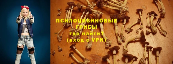 бошки Елабуга