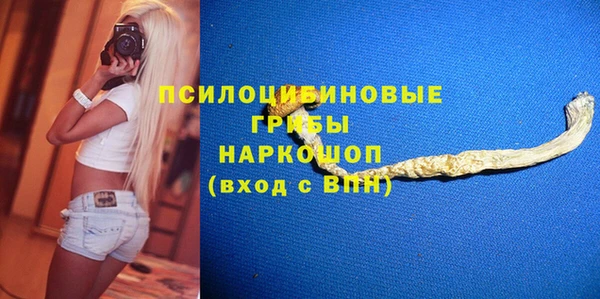 СК Елизово