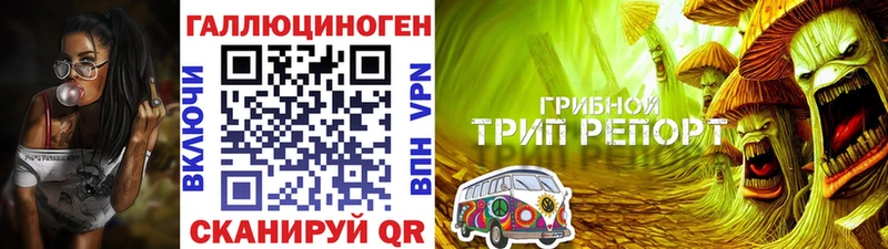 Купить закладки  Чернушка  Галлюциногенные грибы прущие грибы 